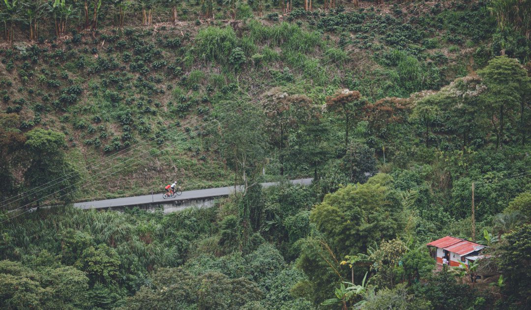 Road bike tour in Medellin